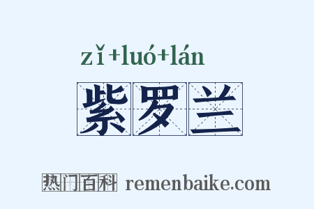 紫罗兰是什么意思的图片